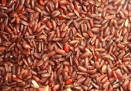 Kattu Yanam Rice - 4 Lb Kattu Yanam Rice - 4 Lb