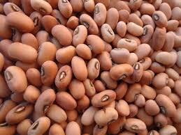 Thattai Payir ( Cow Peas) - 4 Lb